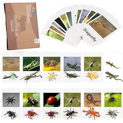 MEROCO Montessori Animal Match - Insect Animal Figurines with Matching Cards Language Montessori Materials Preschool Learning Toy NEWT008