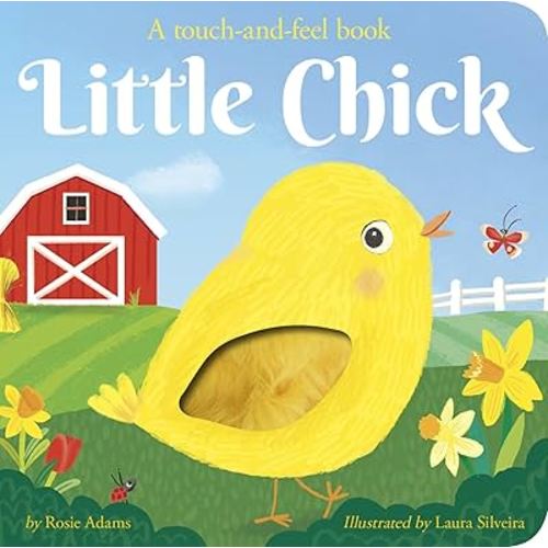 Little Chick: A touch-and-feel book
