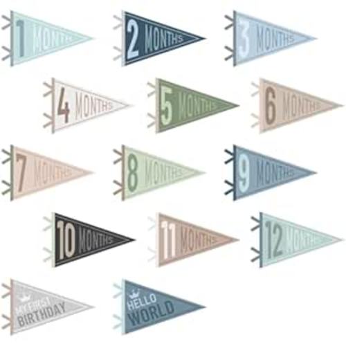 VitalCozy 14 Pcs Baby Milestone Pennant Signs Monthly Milestone Banner Flags Pennant Triangle Banner Age Flag Signs for Boy Girl Newborn Birthday Party Decor(Ocean Color)