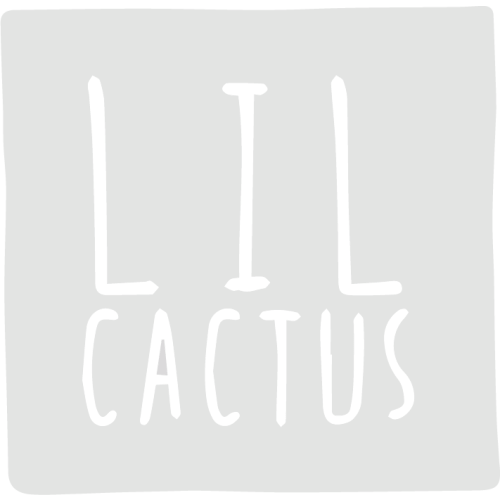 Lil Cactus - Holiday Smocked and Applique Girls and Boys Clothing