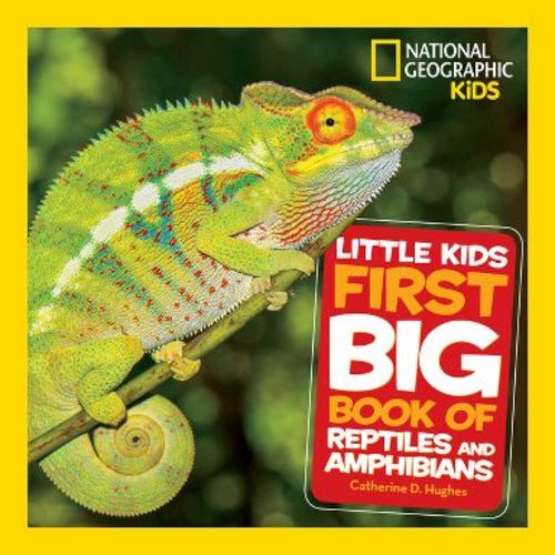 National Geographic Little Kids First Big Book of Reptiles and Amphibians - (National Geographic Little Kids First Big Books) (Hardcover)