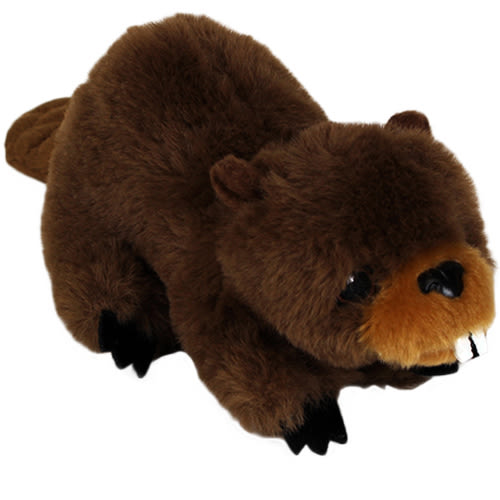 OSU Beaver Store: Small Plush Beaver