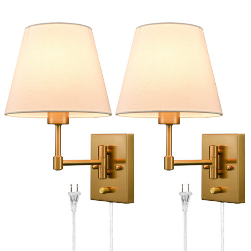 Mercer41 Gralin 2 - Light Plug-in Swing Arm & Reviews | Wayfair