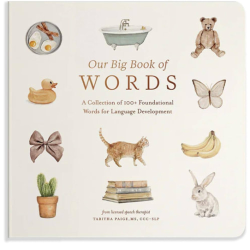 Our Big Book of First Words: A Collection of 100+ Foundational Words for Language Development (Our Little Adventures Series)