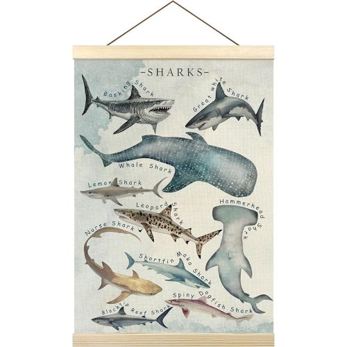 Sharks Poster Hanger Frame, Coastal Wall Decor, Shark Wall Art, Shark Wall Hanging Decor for Classroom Nursery Boys Room, Coastal Nautical Marine Biology Wall Art Decor with Wood Frames,12x16in