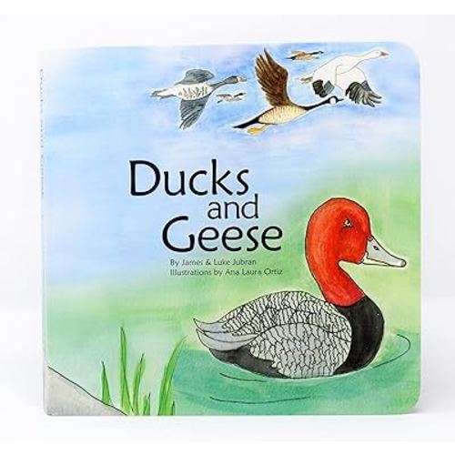 Ducks and Geese: Board Book, Wildlife, Animals, Conservation, Smile Outside, Children's book