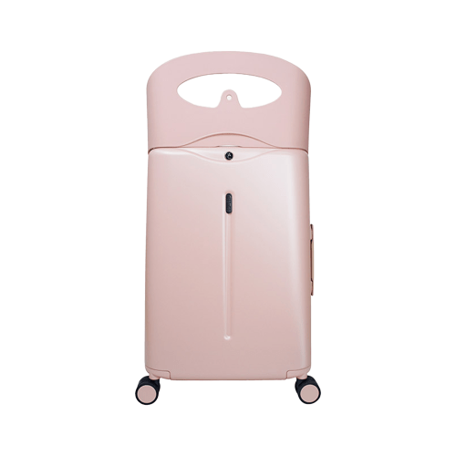 Ride on suitcase (check in)