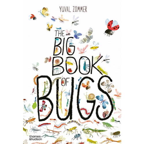 Big Book Of... The Big Book of Bugs, (Hardcover)