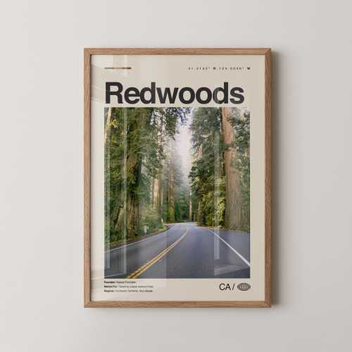 Redwoods Print California, Redwoods Wall Art, Redwoods Poster, Redwoods Photo, Redwood National Park, Avenue of the Giants, Muir Woods