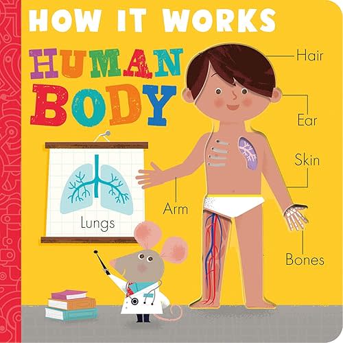 How it Works: Human Body Board book – November 30, 2021