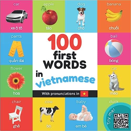 100 first words in vietnamese: Bilingual picture book for kids: english / vietnamese with pronunciations (Learn vietnamese)