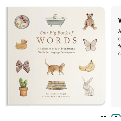 Our Big Book of First Words: A Collection of 100+ Foundational Words for Language Development (Tabitha Paige Children's Book Series)