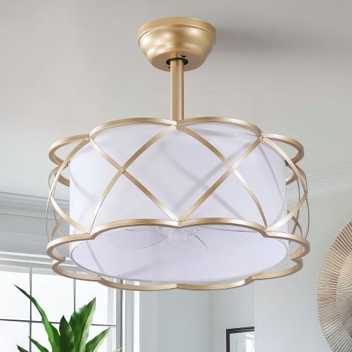Ceiling Fan Light
