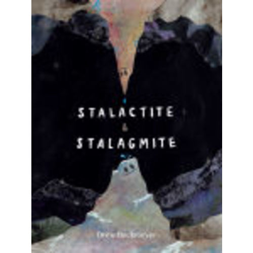 Stalactite & Stalagmite: A Big Tale from a Little Cave by Drew Beckmeyer, Hardcover | Barnes & Noble®