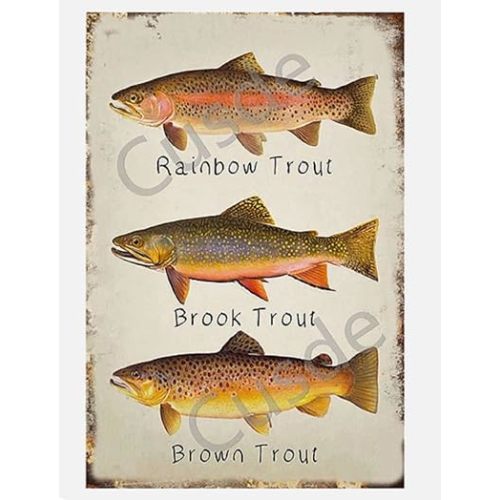 Cusde Rainbow Trout Metal Tin Sign Brook Trout Wall Art Brown Trout Vintage Retro Decoration Poster Plaques Decor Funny Novelty Garage Room Home Cafe Bar Club 8x12 Inch