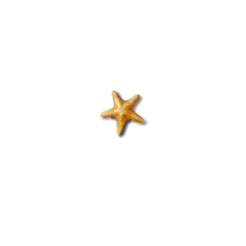 Tickets & Admission | SEA LIFE Charlotte-Concord