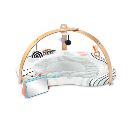 Discoverosity Montessori-Inspired Play Gym - Skip Hop | Carter's
