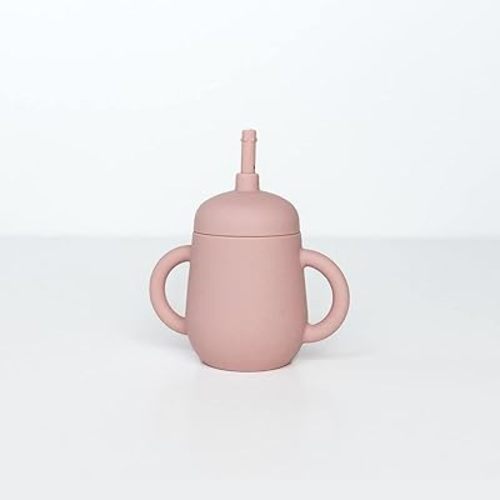 TushBaby Straw Cup - Pink