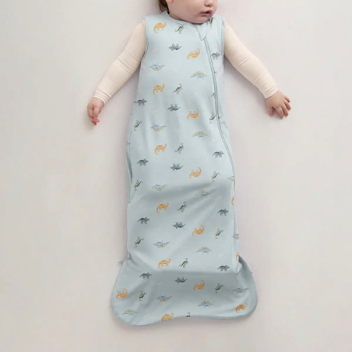 Bamboo Sleep Bag 1.0 TOG in Baby Blue Little Dino