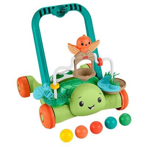 Fisher-Price Moves With You Turtle Walker Activity Push Toy & 5 Balls