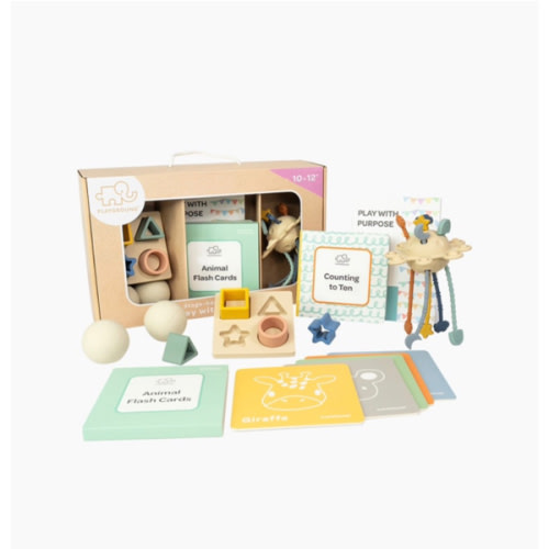 Playground Box 4: Play with Purpose (10-12M)