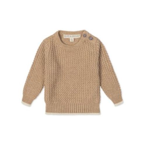 Baby Boys Hope and Henry Organic Long Sleeve Crewneck Sweater with Buttons