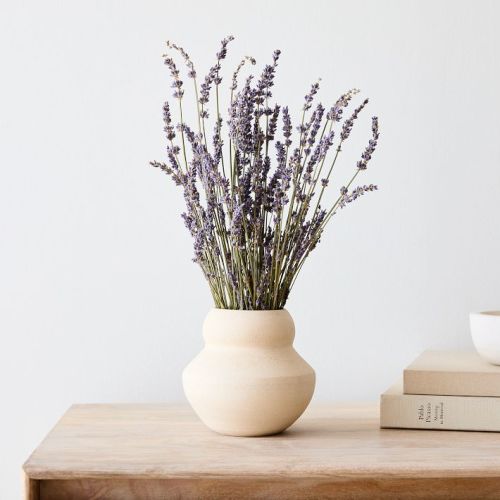 Dried Lavender Stem Bunch