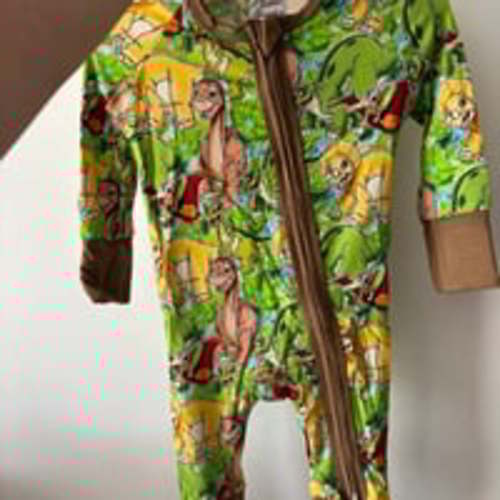 Land before time  bamboo