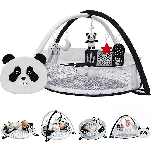6-in-1 XL Baby Activity Center & Ball Pit, High Contrast Book and Balls Included (Black and White)