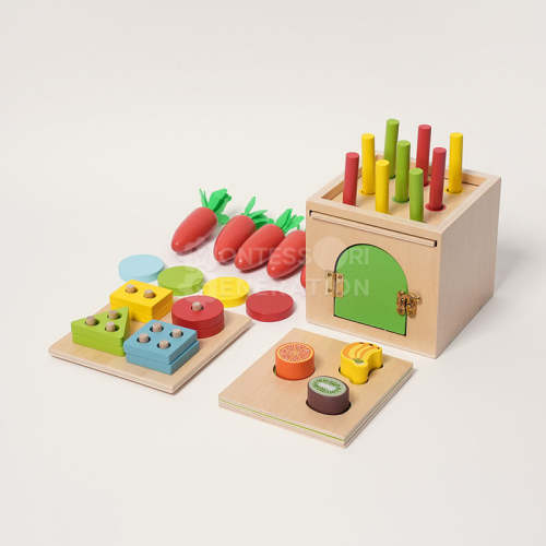 Montessori 6-in-1 Sorting Tool - The Ultimate Sorter for Toddlers!