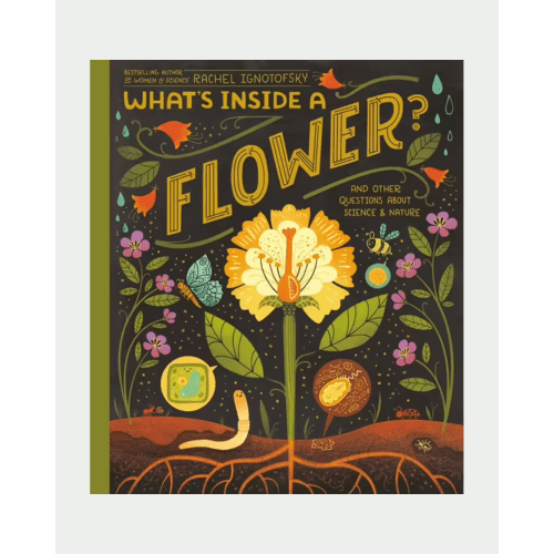 What's Inside A Flower?