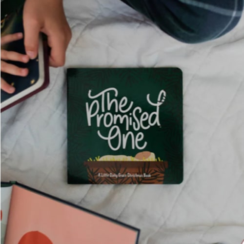 The Promised One - Board Book | TDGC – The Daily Grace Co.