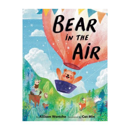 Bear in the Air - by Allison Wortche (Hardcover)