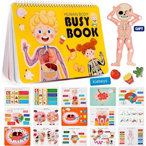 Freebear Montessori Busy Book for Kids, Human Body Anatomy Book for Toddlers, Preshool Kindergarten Learning Activities, Autism Sensory Toys, Travel Toys, Gifts for Girls and Boys 4 5 6 7 8 Years