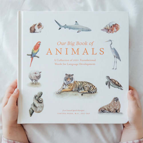 Our Big Book of Animals - Tabitha Paige