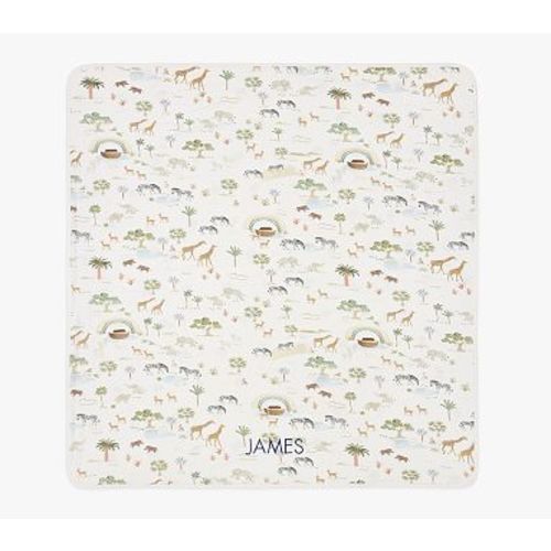 Noahs Ark Bamboo Viscose Baby Blanket , Multi