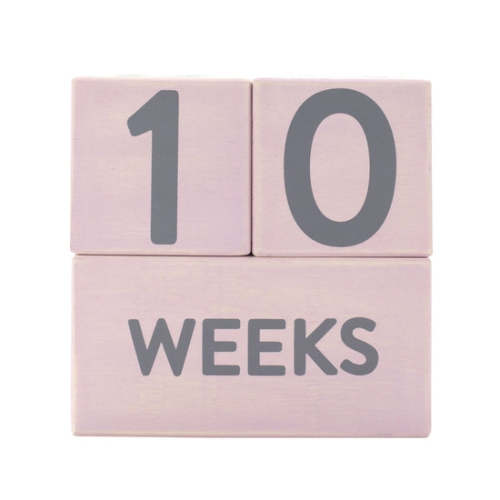 Pearhead Milestone Age Blocks