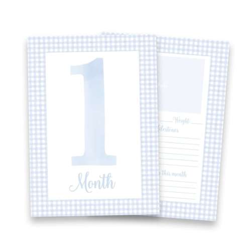 Watercolor Baby Milestone Cards Two Sided Gingham Milestone Card - Etsy