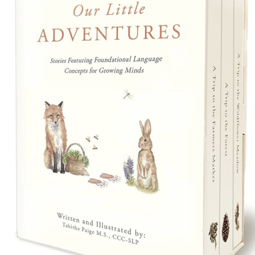 Our Little Adventures: Stories Featuring Foundational Language Concepts for Growing Minds