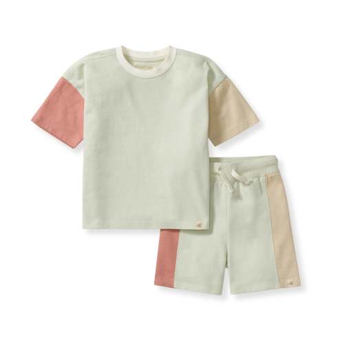 Color Blocked Boy Tee & Shorts Set – Burt's Bees Baby
