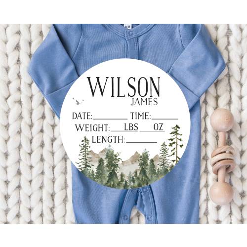 Mountain Birth Stat Sign, Baby Birth Stat Sign, Hospital Bassinet Sign, Woodland Birth Announcement Sign, Baby Stats, Name Sign, Fresh 48