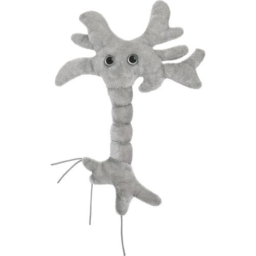 GIANTmicrobes Brain Cell Plush, Neuron Plush, Neuroscience Gift, Neurology Gifts, Science Plushies, Neuron Model Anatomy, Psychology Gifts, Psychology Decor, Brain Gift, TBI, Mental Health Awareness