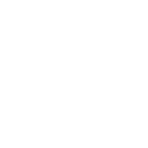 LACEVO N6 portable bottle warmer