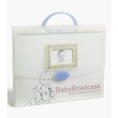 Document Organizer
BabyBriefcase®