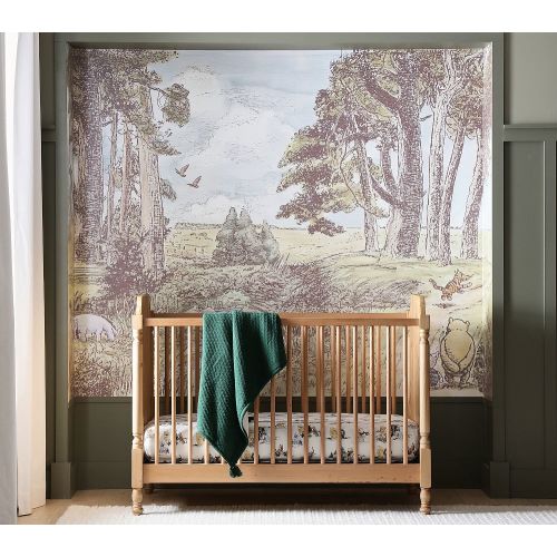Disney's Winnie the Pooh Mural