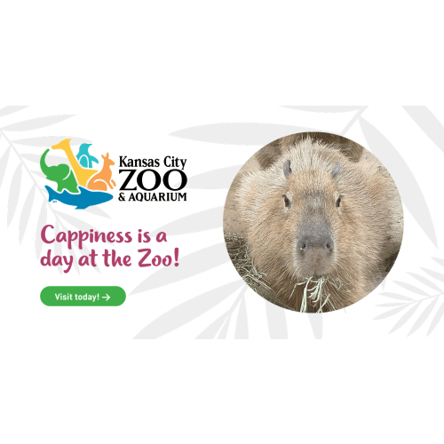 Memberships | Kansas City Zoo & Aquarium