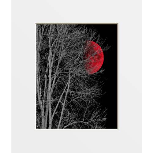 Tree and Moon Matted Wall Art: Black, White & Red Decor