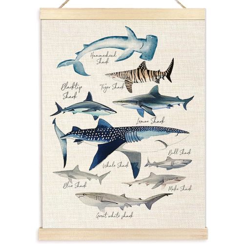 Ecezatik Species of Sharks Wall Art with Wooden Poster Hanger, Shark Posters, Beach Room Decor, Ocean Room Decor, Shark Wall Art Decor for for Classroom Nursery Kids Room Playroom, 12x16 Inch