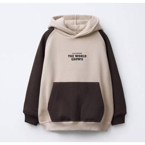 COLOR BLOCK TEXT HOODIE - Sand | ZARA United States