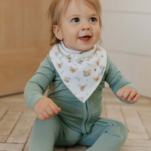 4 Pack Baby Bandana Bibs - Wilder